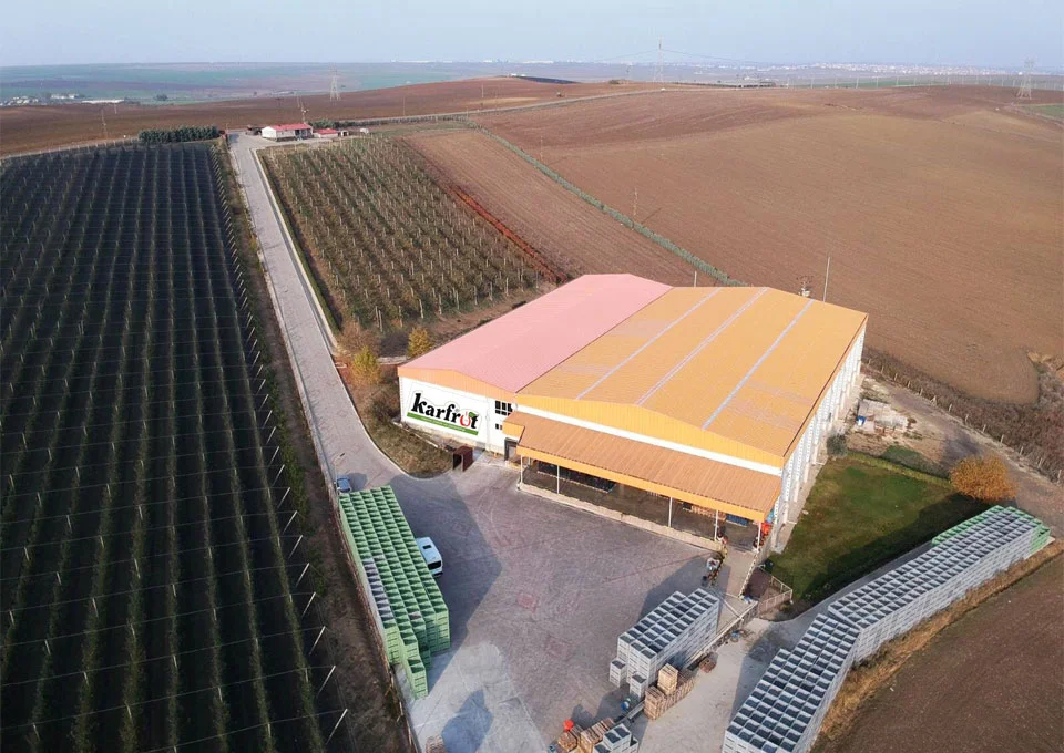 Entegre Tesis Modeli ile Uçtan Uca Kalite